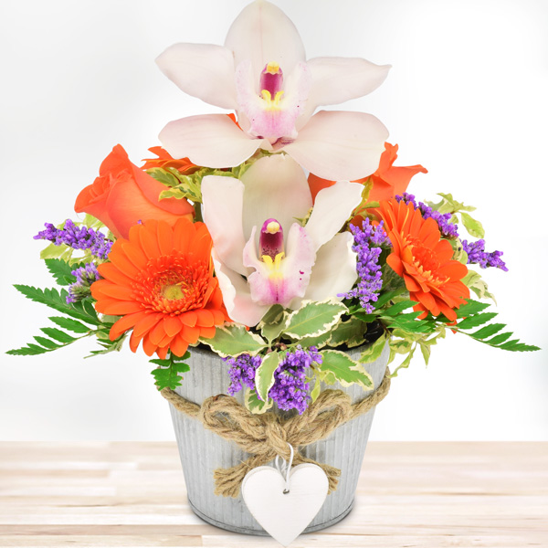 Blumengesteck Orchideengruß Orange-Weiß im Herz-Zinktopf