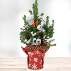 Mini- Weihnachtsbaum