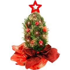 Mini-Weihnachtsbaum Lichterzauber & Lichterkette