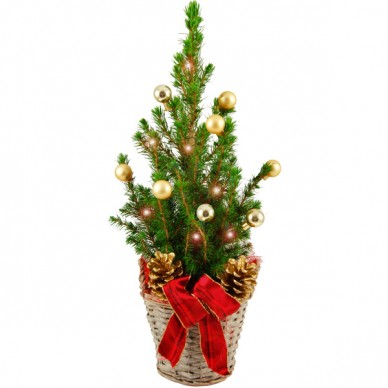 Mini-Weihnachtsbaum Frohes Fest & Lichterkette
