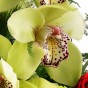 Blumenstrauß Orchidee